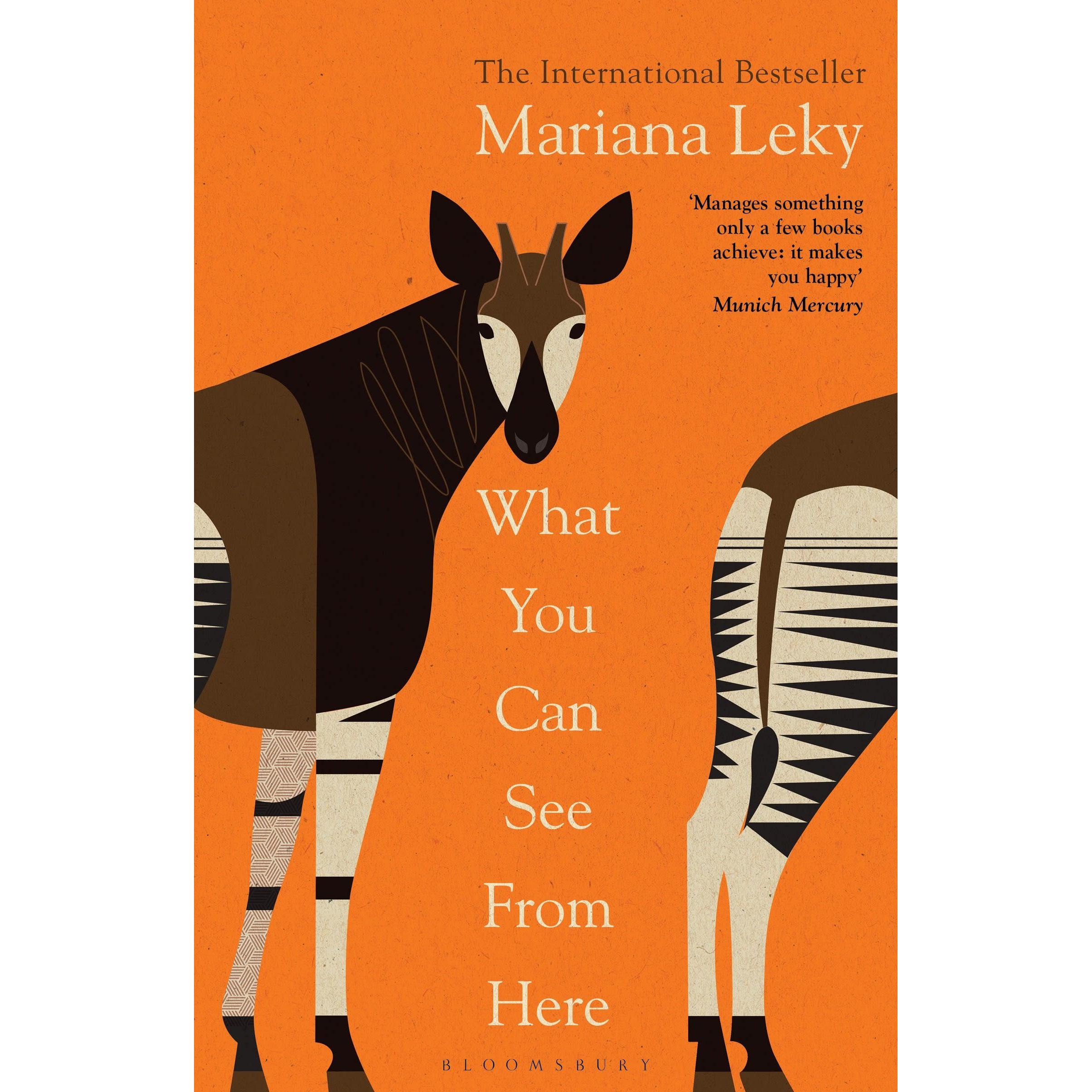 What You Can See From Here, Belletristik von Mariana Leky