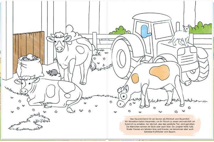 Produktbild Bauernhof - Mal- und Spielspass (mit Traktor)