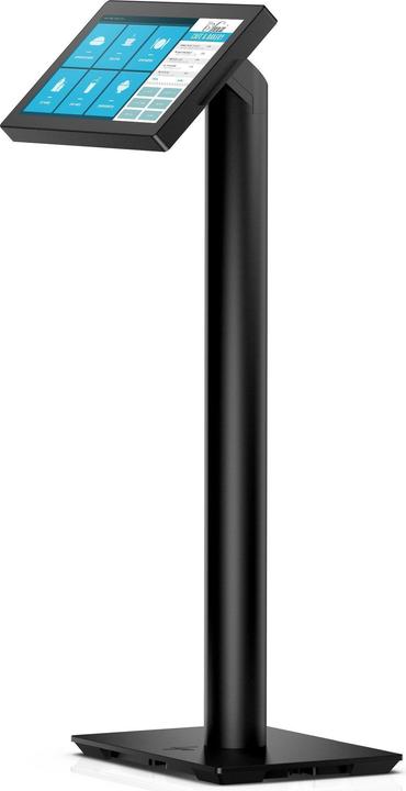 HP Engage 16.7cm 6.6inch Pole Display