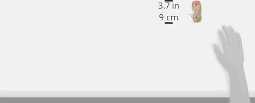 Actual product image Glorex Round wick