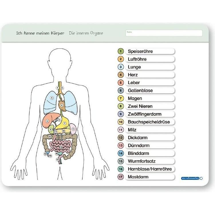 Thumbnail - Katrin Langhans, Schulbücher von Katrin Langhans