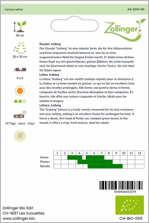 Produktbild Zollinger Bio Eissalat, Iceberg (Gemüsesamen)