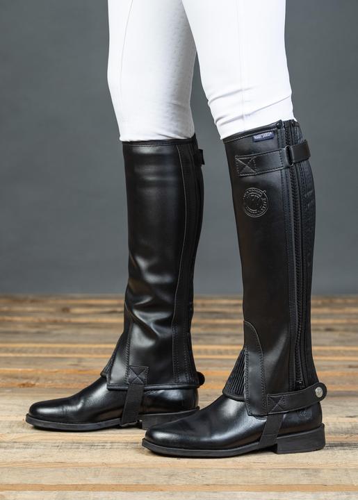 Actual product image Harry's Horse Connect (XL)