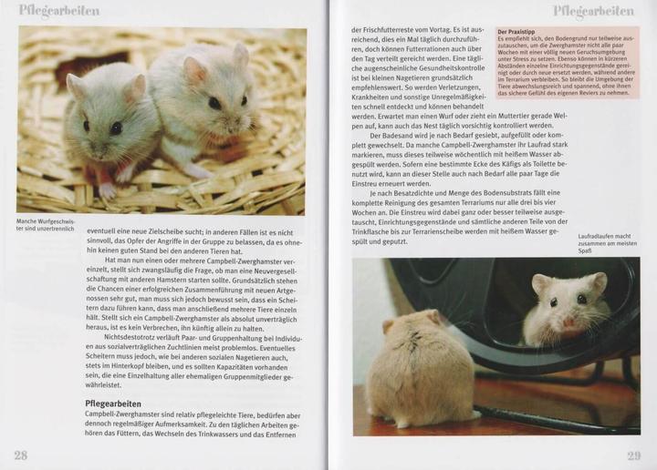 Produktbild Der Campbell-Zwerghamster (Deutsch, Stefan Kräh, 2014)