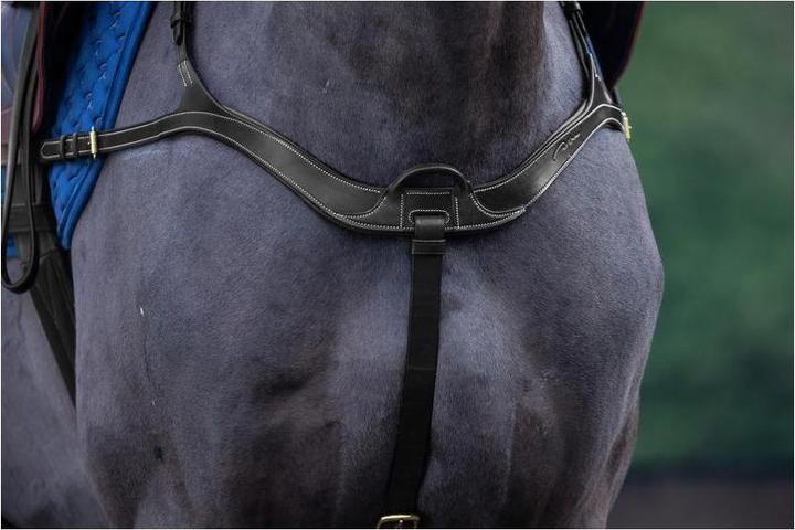 Produktbild Dy'on Vorderzeug anatomisch