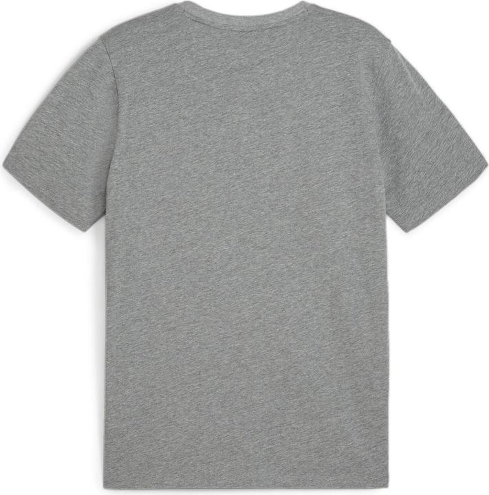 Actual product image Puma teamGOAL Casuals Tee (L)