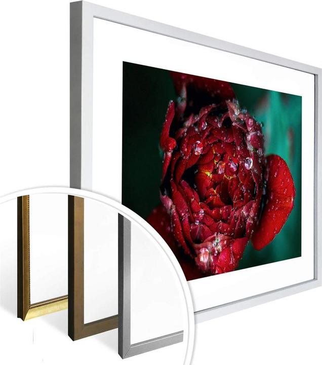 Actual product image Trenddeko Peony after the rain (40 x 30 cm)