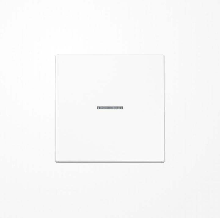 Actual product image JUNG HOME Push-button 1gang BTLS17101WW