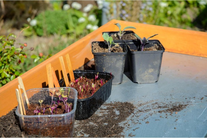 Actual product image Dobar Planting table