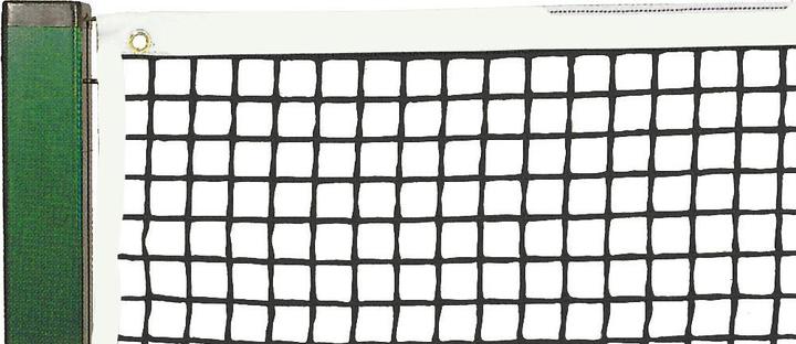 Actual product image Sport-Thieme Tennis net deluxe