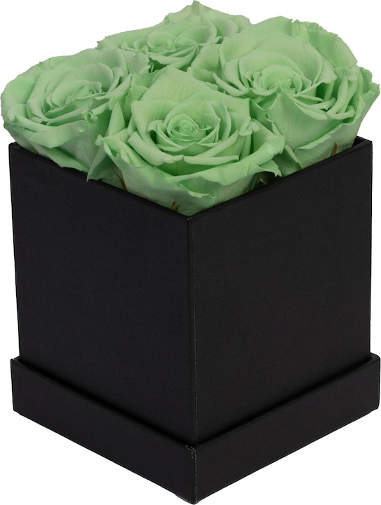 green (black box)