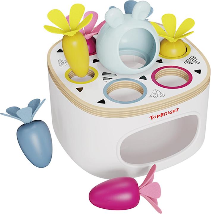 Produktbild Topbright Toys Sortierspiel Karotten