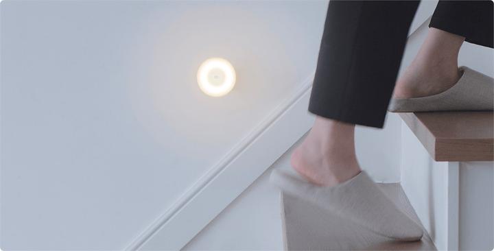 Actual product image Xiaomi Mijia 2