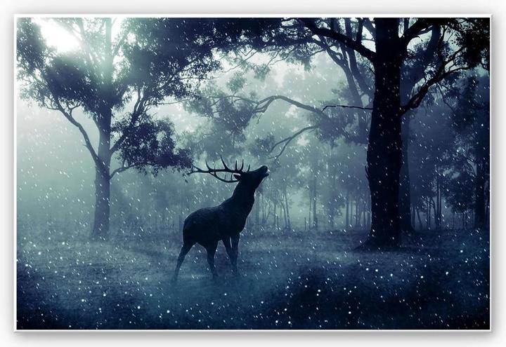 Immagine prodotto Trenddeko Cervi nella foresta mattutina (45 x 30 cm)