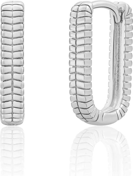 Immagine prodotto Sparkling Jewels Sparkling - Silver dangle earrings EAS25