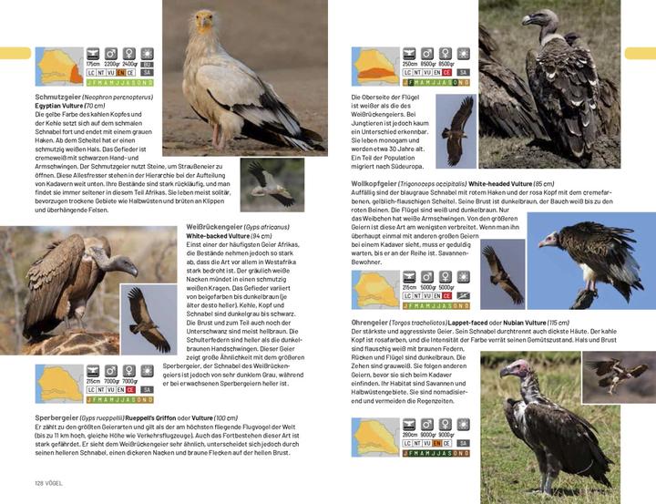 Actual product image Afrika Safari Media Safari-Reiseführer Gambia & Senegal (German, Ruud Troost, 2020)