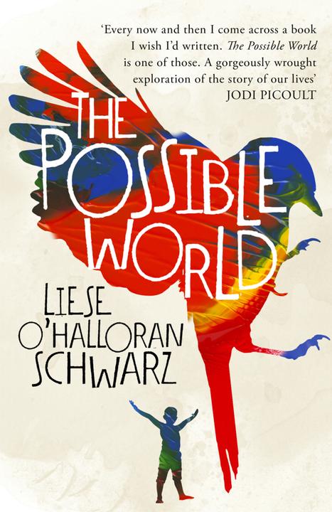 Produktbild The Possible World (Englisch, Liese O'Halloran Schwarz, 2018)