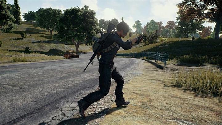Actual product image Microsoft Playerunknown's Battlegrounds v.1 (Xbox One X, Xbox Series X, Multilingual)