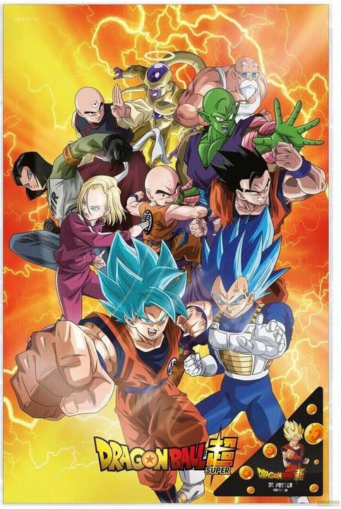 Productafbeelding SD Toys Dragon Ball Super Universal Survival Heroes 3D poster (38 x 58 cm)