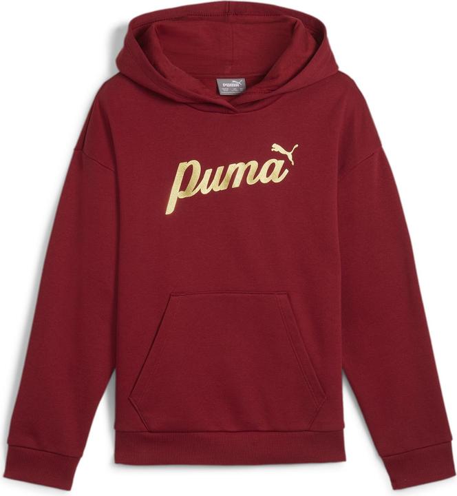 Actual product image Puma ESS+ SCRIPT Metallic Hoodie FL G (152)