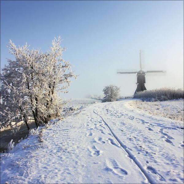 Actual product image Augenblicke der Stille 2026 (30 x 30 cm)