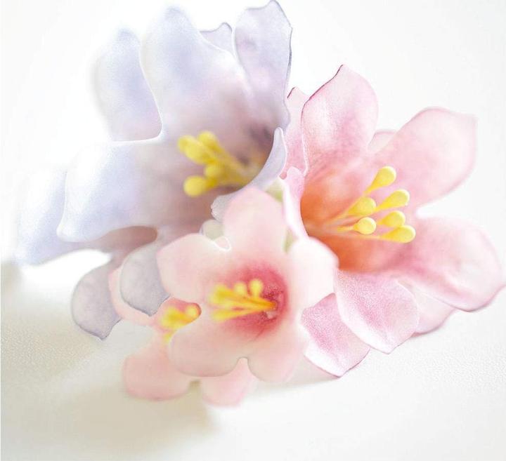 Produktbild Decora Petunie