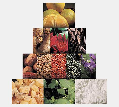 Actual product image Salvatore Ferragamo Subtle (Eau de toilette, 100 ml)