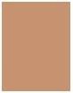 Actual product image Estée Lauder Double Wear Stay In Place (3C3 Sandbar)