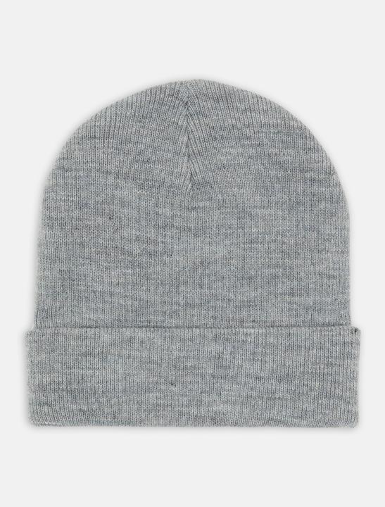 Immagine prodotto Dickies Gibsland