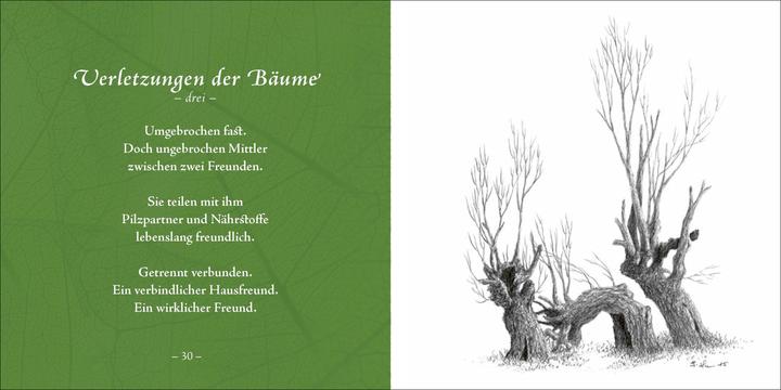 Produktbild Bäume (Deutsch, Günther Horn, John Erpenbeck, 2018)