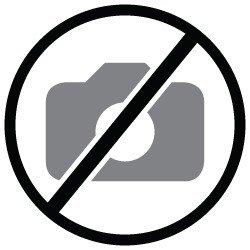 Optoma FOCALE PROSCENE Courte CTA15 - 0.75-1.95:1 - Pour ZU650/+/ZU850/WU630