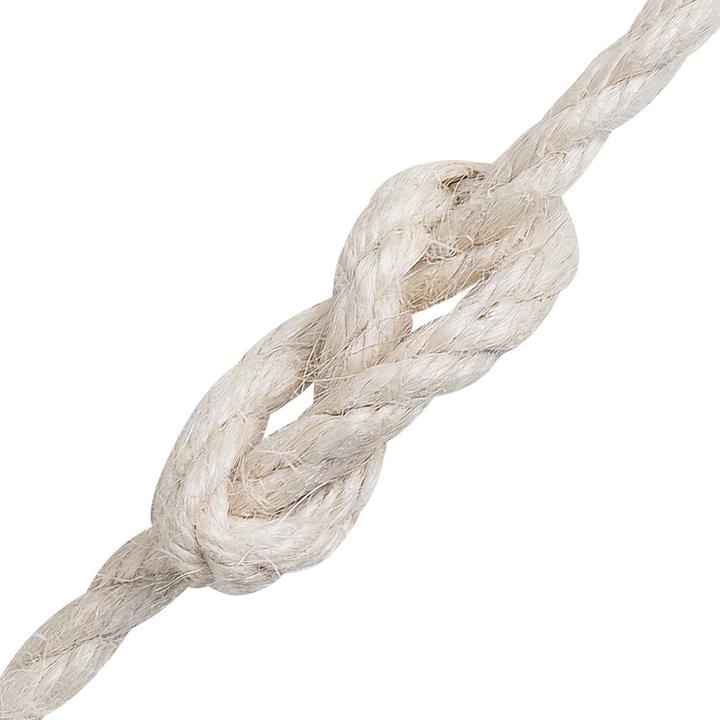 Image du produit vidaXL Natürliches Seil (100 m)