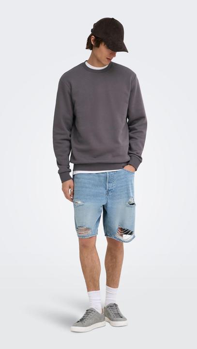 Actual product image Only & Sons Onsceres Crew Neck Noos (L)