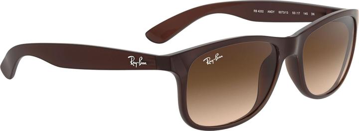 Produktbild Ray Ban Rb4202