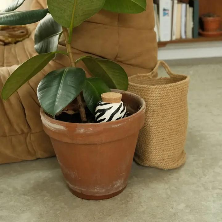 Image du produit Bewässerungskegel Olla Zebra (Cône d'argile)