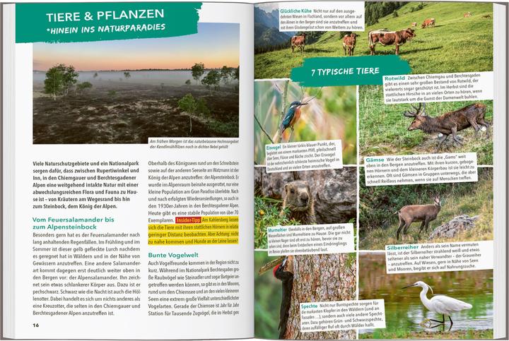 Image du produit OUTDOOR GUIDE Reiseführer Chiemgau & Berchtesgadener Land (Allemand, Andreas Gruhle, 2024)