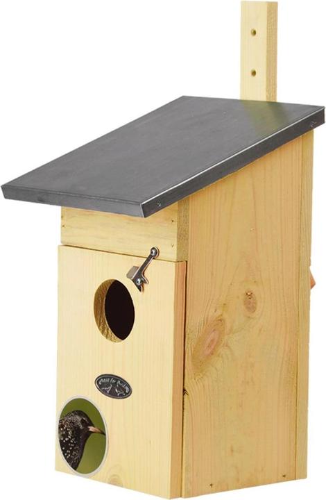 Actual product image Esschert Design Star