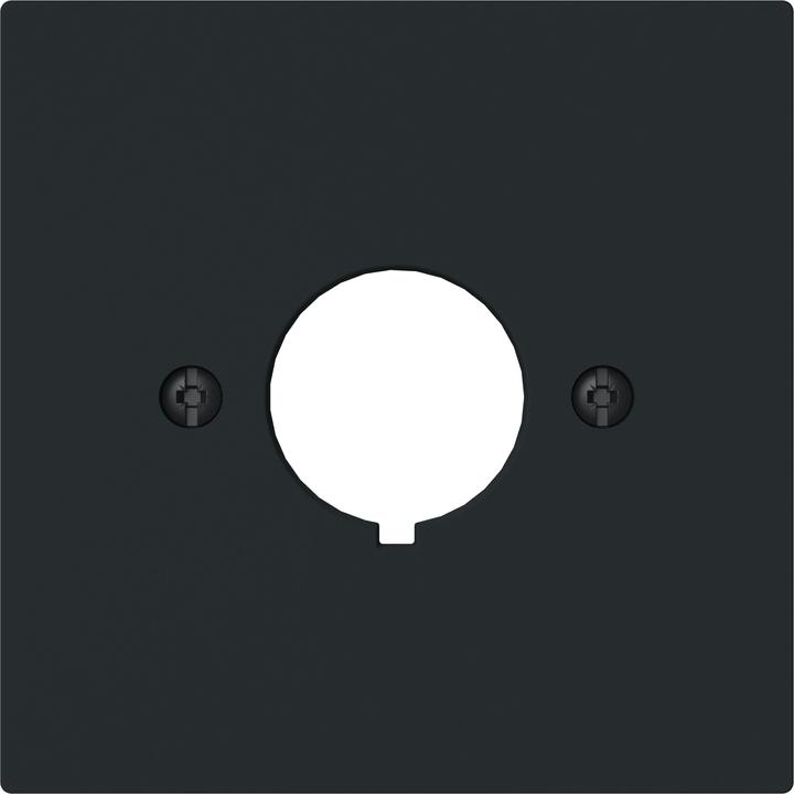 Actual product image Busch-Jaeger Central disc