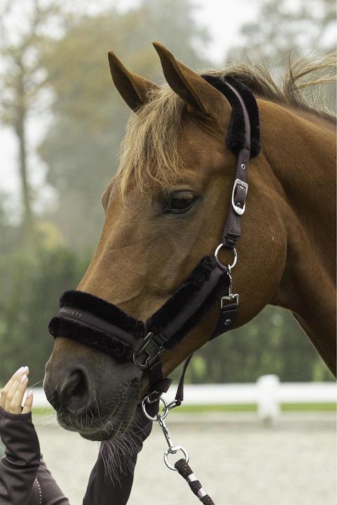 Immagine prodotto Harry's Horse Soft Billie