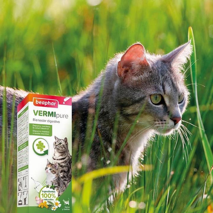Actual product image beaphar VERMIpure Verdauungsöl für Katzen (Cat, 50 ml)