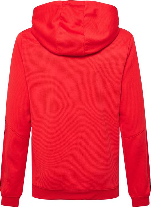 Actual product image hummel Authentic Kids Poly Hoodie (152)