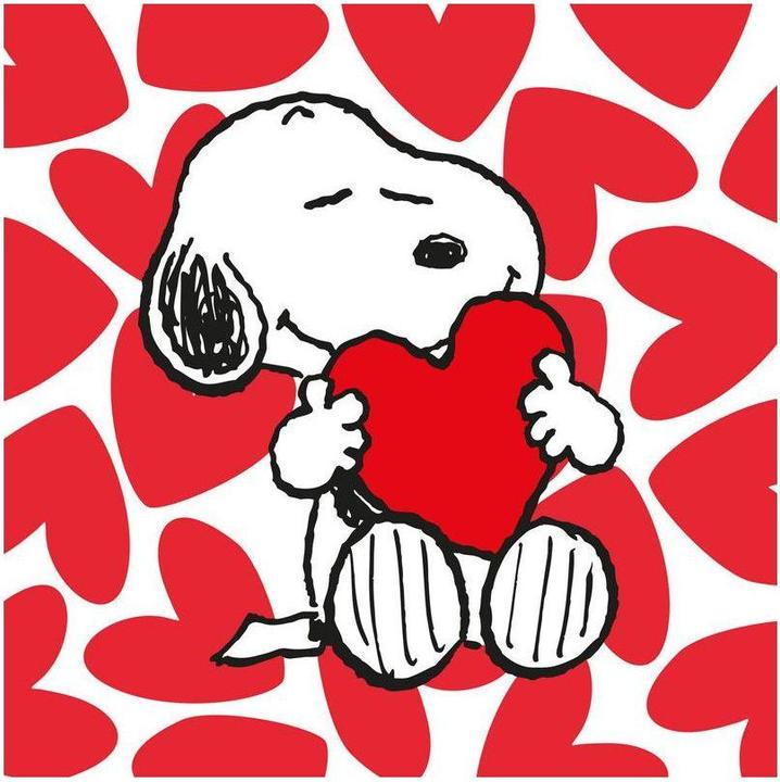 Braun Servietten 33x33cm 20er Pg (20 Pcs., 33 x 33 cm)