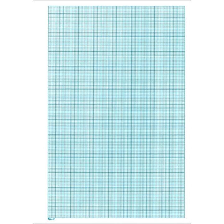 Actual product image Favorit Milimeter paper block (A4, Checked)