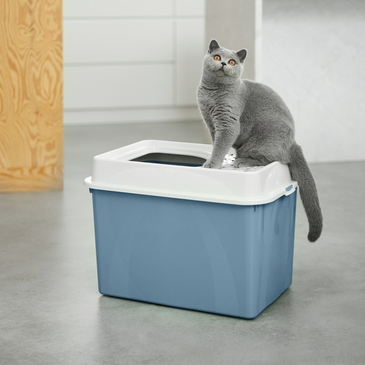 Actual product image Rotho Berty Eco (Cat litter tray open)