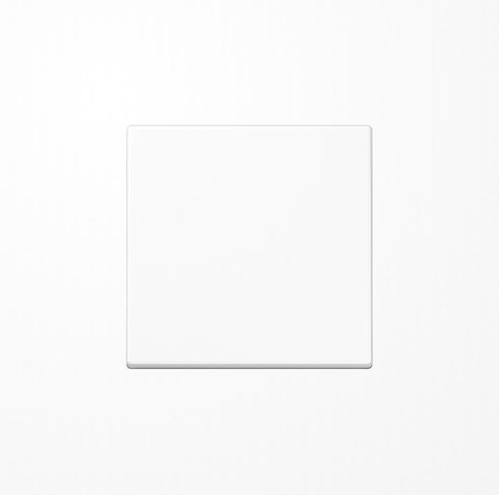 Actual product image JUNG Blind control button UP A aws glz A1700BFWW
