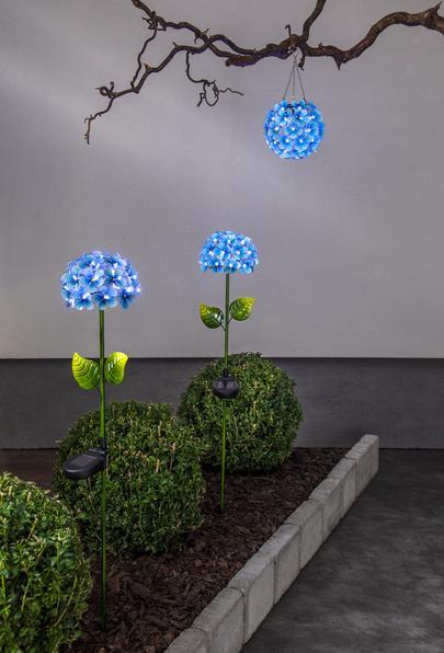 Image du produit Star Trading Décoration intérieure Windo