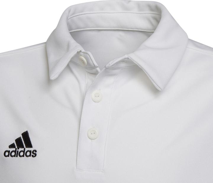 Actual product image adidas Entrada 22 Polo Kids (152)