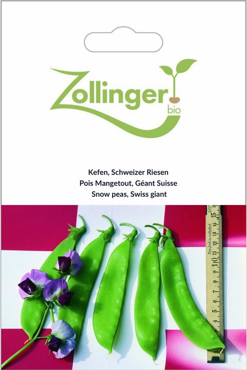 Produktbild Zollinger Bio Kefen, Schweizer Riesen (Keimlinge)