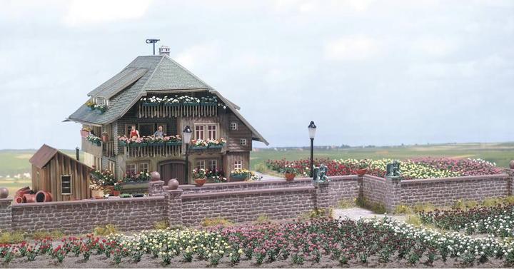Produktbild Busch 1205 H0 Rosen Bausatz