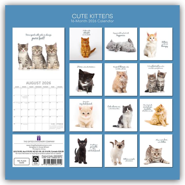 Produktbild Gifted Stationery Co. Ltd:Cute Kittens (30,5 x 30,5 cm)